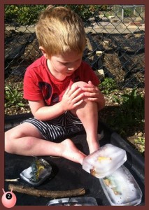 dinosaur ice age sensory seeking play #thesensoryseeker