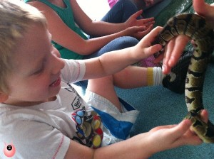 sensory seeker party with reptiles 