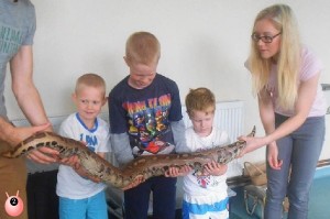 sensory seeker party with reptiles 