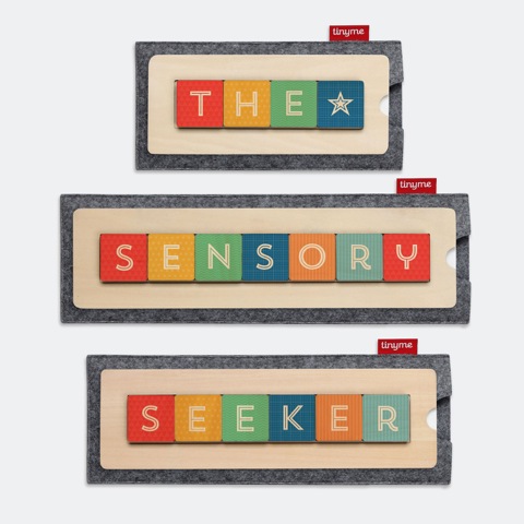 the sensory seeker