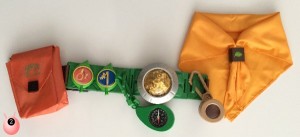 tree fu tom ranger utility belt