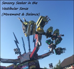 Vestibular Sensory Seeker - Movement and balance