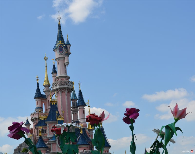 Disneyland with Sensory Processing Disorder