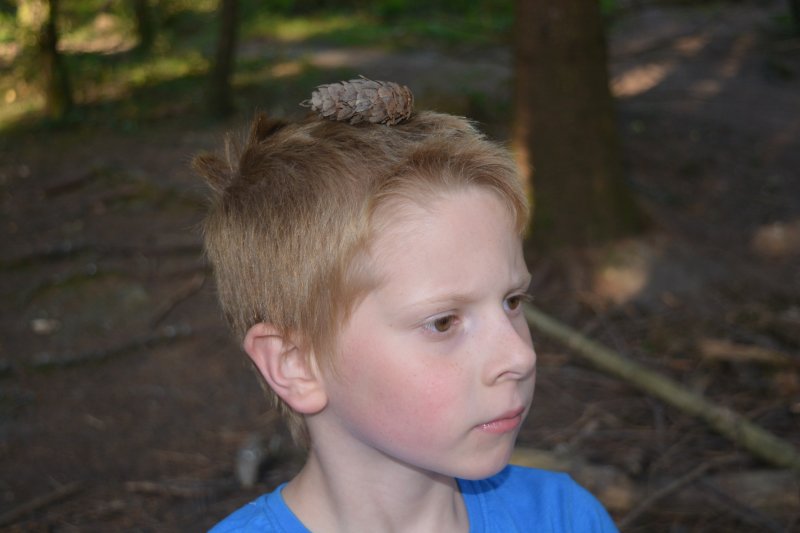 Why a trip to The Forest is good for those with Sensory Processing Disorder