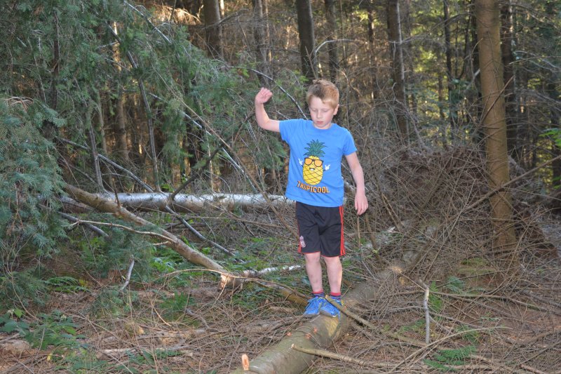 Why a trip to The Forest is good for those with Sensory Processing Disorder
