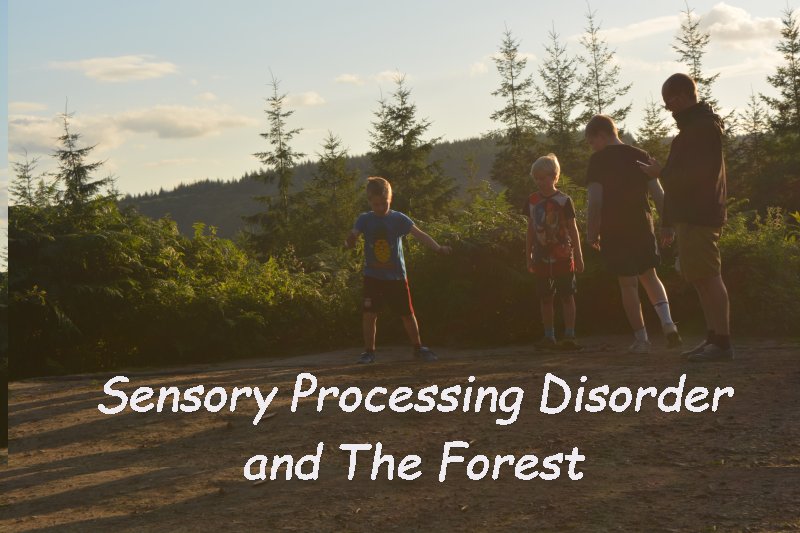 Why a trip to The Forest is good for those with Sensory Processing Disorder