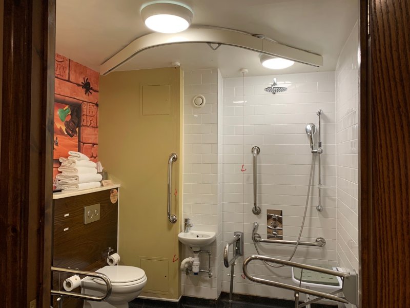 accessible children's bathroom with hoist